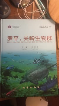 罗平，关岭生物群