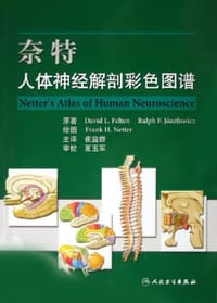书籍 奈特人体神经解剖彩色图谱的封面