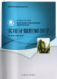 实用牙髓腔解剖学