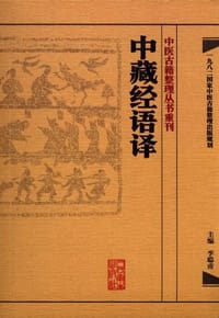 中藏经语译 - 无名图书