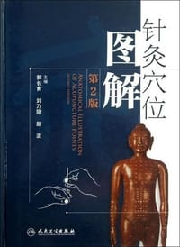 针灸穴位图解