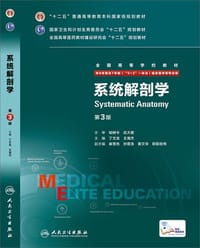 系统解剖学 - 丁文龙