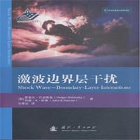 激波边界层干扰