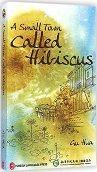 书籍 A Small Town Called Hibiscus的封面