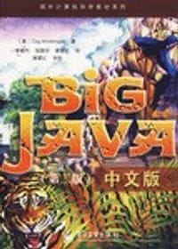 Big Java中文版