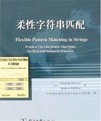 书籍 柔性字符串匹配的封面