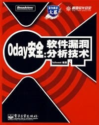 0day安全：软件漏洞分析技术 - 王清