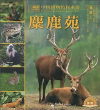 中国博物馆探索游