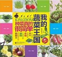 书籍 我的蔬菜王国的封面