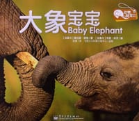 动物萌宝贝