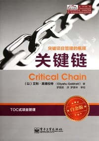 书籍 关键链的封面