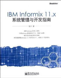 IBM Informix 11.x系统管理与开发指南