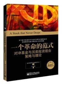 书籍 一个革命的范式的封面