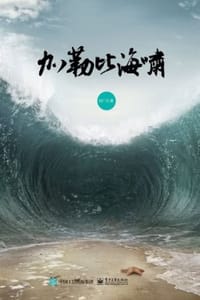 加勒比海啸 - 刘广元