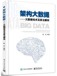 书籍 架构大数据——大数据技术及算法解析的封面