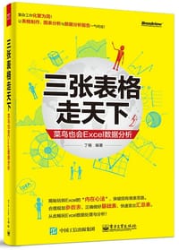 三张表格走天下——菜鸟也会Excel数据分析（全彩） - 丁楠