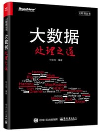 大数据处理之道 - 何金池