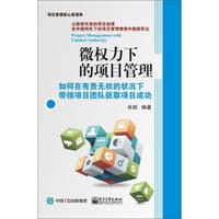 微权力下的项目管理