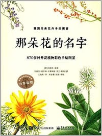 那朵花的名字