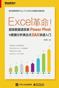 书籍 Excel革命！超级数据透视表Power Pivot与数据分析表达式DAX快速入门的封面