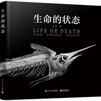 生命的状态