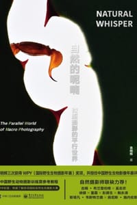 自然的呢喃：微距摄影的平行世界