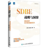 SDBE战略与洞察：路径选择和节奏把握的艺术