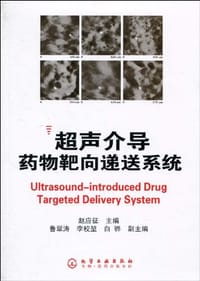 超声介导药物靶向递送系统