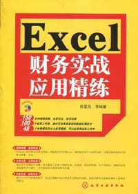 书籍 Excel财务实战应用精练的封面