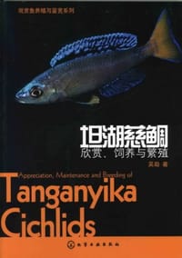 坦湖慈鲷