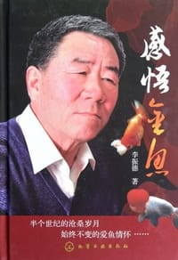 感悟金鱼 - 李振德