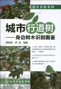 书籍 城市行道树的封面