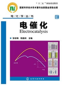 书籍 电催化的封面