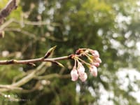 化工单元过程及设备课程设计（第三版）/面向21世纪课程教材·高等教育规划教材 - 无名图书