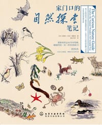 家门口的自然探索笔记