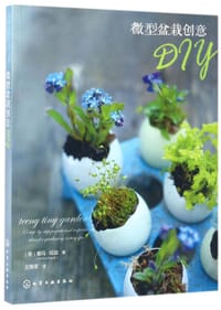 书籍 微型盆栽创意Diy的封面