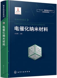 电催化纳米材料 - 孙世刚