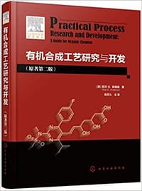 有机合成工艺研究与开发（原著第二版）