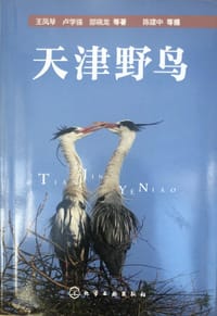 天津野鸟