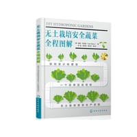 无土栽培安全蔬菜全程图解