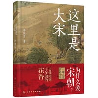 这里是大宋