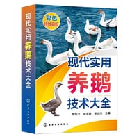 现代实用养鹅技术大全