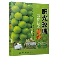 书籍 阳光玫瑰栽培技术宝典的封面