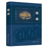 书籍 脑病的封面