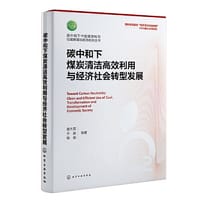 碳中和下中国能源转型与煤炭清洁高效利用丛书--碳中和下煤炭清洁高效利用与经济社会转型发展
