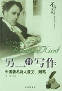 书籍 另一种写作的封面