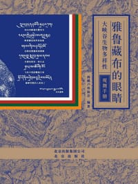 雅鲁藏布的眼睛
