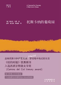 托斯卡纳的葡萄园 - （意）费伦茨·马特