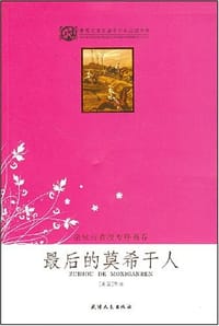 书籍 最后的莫希干人的封面