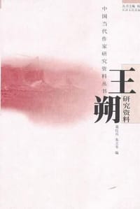 书籍 王朔研究资料的封面